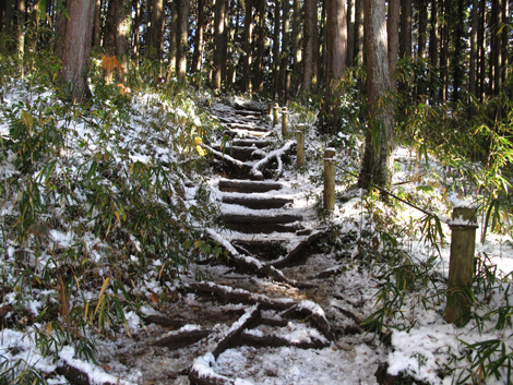 20161125hike (40)